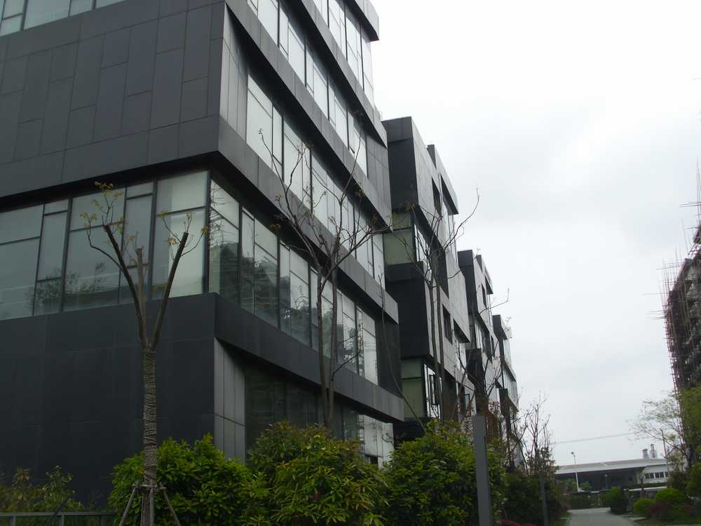 亚美利嘉全球（上海）经济发展有限公司（会员单位）