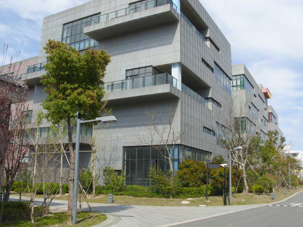 DSCI6037